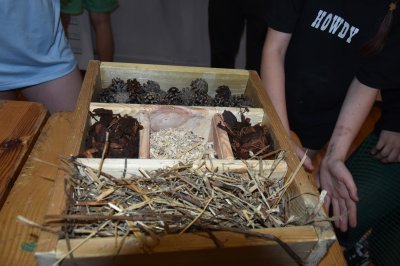 Zielono mi... EkoWakacje z Domem Kultury 2025